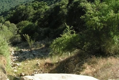 Rancho Oso Cottage 12 Mission Canyon Екстериор снимка